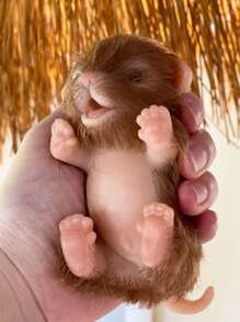 1 件 12 厘米硅胶小狗婴儿重生娃娃全身柔软硅胶玩具手工逼真重生动物娃娃，可爱迷你娃娃玩具，可作为礼物 - 彩色 - 查看 10