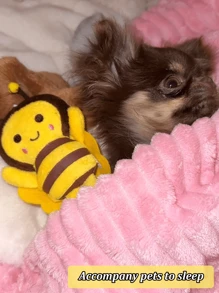 2 paquetes de juguetes para masticar para cachorros - Diseño lindo de abeja para cachorros en etapa de dentición y perros pequeños, masticables para limpieza dental para aliviar el aburrimiento y juego interactivo