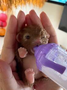 1 件 12 厘米硅胶小狗婴儿重生娃娃全身柔软硅胶玩具手工逼真重生动物娃娃，可爱迷你娃娃玩具，可作为礼物 - 彩色 - 查看 4