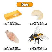 1 Set de Modelos del Ciclo de Vida de Animales de Plástico - Figuras de Simulación del Ciclo de Crecimiento de Animales como Mariposa, Mariquita, Pollo, Rana, Pez para decoración de escritorio y hogar - Multicolor - Ver 12