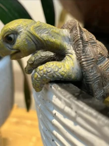 1 件树脂可爱乌龟花盆挂架乌龟花盆挂架乌龟花盆可爱动物形状花盆植物伙伴庭院装饰品户外花盆装饰品