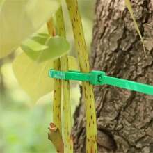 100pcs/Set Gardening Straps, Zip Ties, Plastic Winding Plant Fixing Ties, Portable Gardening Cables, Gardening And Lawn Care, 10cm Length - Green - View 6