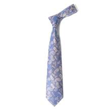 1 条佩斯利图案休闲/商务/街头服饰涤纶领带，适合所有季节，热销促销