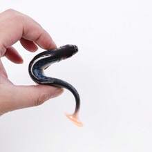 T-Tail Soft Fishing Lures, Widely Used For Swimming Lures In Most Water Bodies, Suitable For Most Fish Species