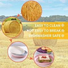 LMETJMA 4Pcs Lightweight Wheat Straw Plates Unbreakable Reusable Dinner Dishes Plates Set Dishwash & Microwave Safe JT93