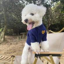 1PC Pet Clothing Spring And Autumn Dog Warm Hoodie Love Sweater Suitable For Small And Medium Sized Dogs Cat Pet