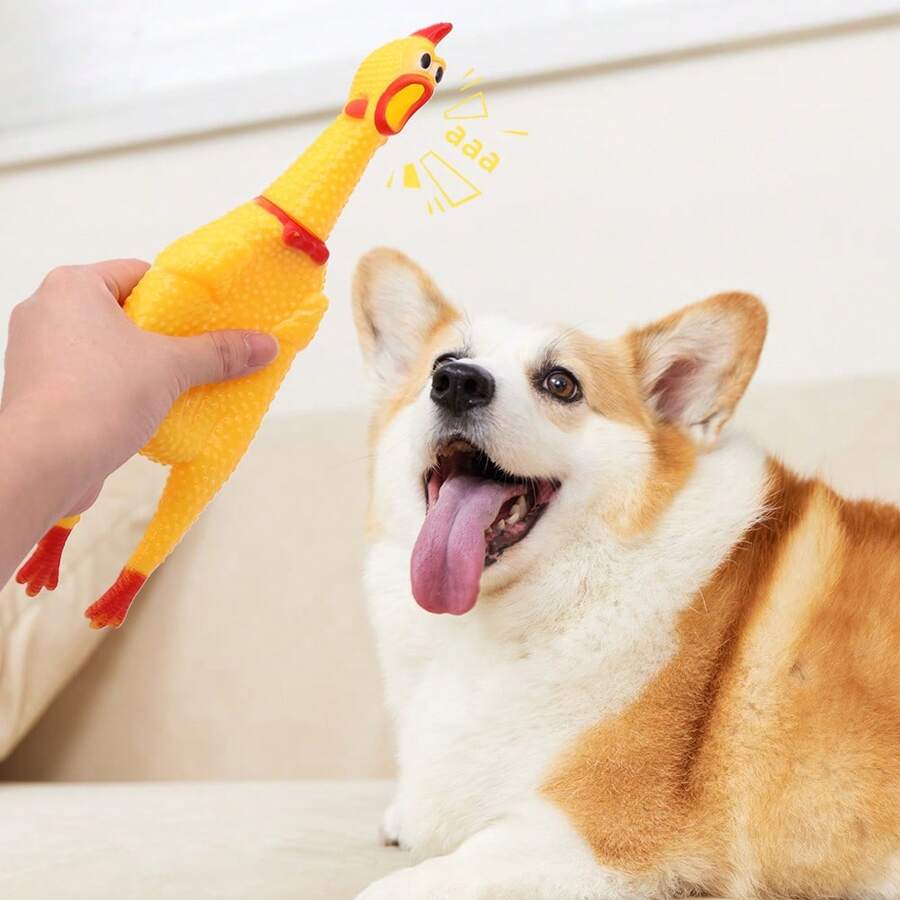 吱吱叫的鸡狗玩具