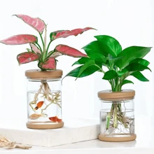 1 pieza Maceta de plástico transparente de cultivo hidroponía con depósito de agua, maceta de plástico + tapa de plástico para plantas sin raíces