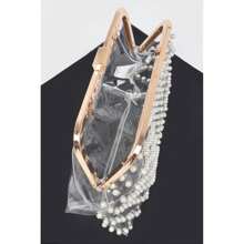 Stone Studded Transparent Clutch