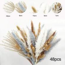 Pampas Grass Dried Flowers - Natural, Fluffy Decor With Bunny Tails & Reeds, Suitable For Boho Home Decor, Wedding Decoration, Holiday Celebration, Tabletop Centerpiece, Vase Filler Gifts Birthday Graduation Room Decor Flower Vase Glass Vase