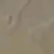 رمادي