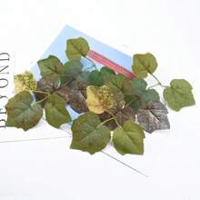 30/100 Pcs Silk Maple Leaf Wedding Bridal Accessories  Christmas Home Decoration Diy Gift Artificial Plants Wholesale