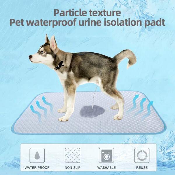 1pc Reusable Granular Texture Pet Pee Pad, Pet Bed Mat, Dog Training Pad, Pet Sofa Mat, Dog Cage Mat, Suitable For Medium & Small Cats And Dogs, Non-Stick Hair, Machine Washable