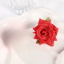 1 Pc Red Flower Claw Clip Headwear, Dried Rose Flower Caro Hairpin, Headflower Hair Accessory, Stylish Hairpin,Hair Clips,Hair Barrettes Hair Claws