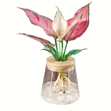 1 pieza Maceta de plástico transparente de cultivo hidroponía con depósito de agua, maceta de plástico + tapa de plástico para plantas sin raíces