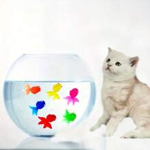 6 件/套互动猫玩具 - 色彩鲜艳，塑料逗猫玩具，无尽的乐趣和锻炼，颜色随机