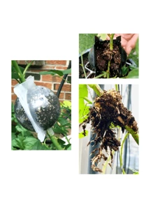 1/2/10pcs, Garden Plant Rooting Ball Incubator High Pressure IncubatorGrafted Tree Rooting Seedling Cultivation Ball Small Medium - Black - View 4