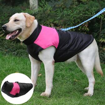 Chaqueta impermeable y cálida de invierno para perros pequeños, medianos y grandes. Ropa, chaleco y disfraz para mascotas como chihuahuas, labradores y bóxer franceses.