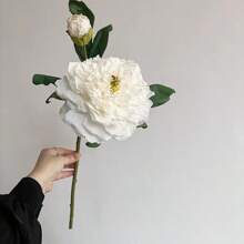 2 件优质烤边牡丹花装饰，家庭客厅人造花饰品（白色蓝色）假花装饰，适用于客厅、桌面装饰、情人节、礼物 - 彩色 - 查看 8