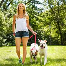 3pcs/Set New INS Style Velvet Swan Collar & Leash Set, Adjustable Collar With Bow Tie, Suitable For Medium & Large Female Dogs - Multicolor - View 9