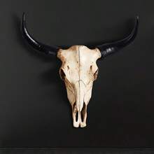 1pc, Artificial Simulation Cow Skull Wall Hanging Personalized Decoration Living Room Bedroom Office Bar Background Wall Decoration - 牛頭骨牆飾 - 查看 2