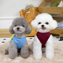 宠物春夏网眼透气背心，适合猫和小型犬，户外穿着