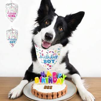 1pc Pet Birthday Costume Scarf, Dog Birthday Celebration Triangle Bib, Pet Birthday Celebration Gift, Drool Bib