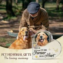Personalized Pet Memorial Acrylic Heart Plaque - Curved Heart-Shaped Remembrance Keepsake For Pets-5 Styles ,Loss Of Dog Or Cat Sympathy Tribute, Customizable Desk Decor Celebrating Beloved Animals - For Pet Lovers - Memorial Gift For Pet Loss