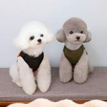 宠物春夏网眼透气背心，适合猫和小型犬，户外穿着