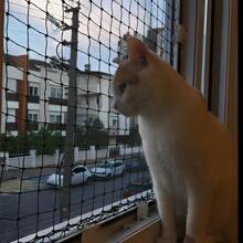 Widened Green Cat Balcony Net, 196.85*157.48 Inches - Anti-Bite Polyester, Easy To Install, Ensuring Pet Safety And Protection