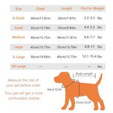 宠物春夏网眼透气背心，适合猫和小型犬，户外穿着