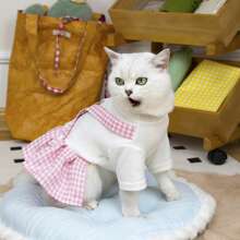 猫咪和小狗夏季可爱连衣裙和夹克服装