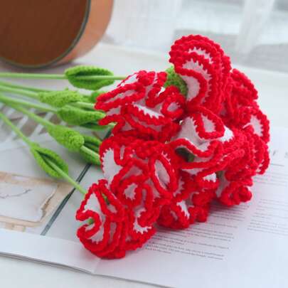 1/3/6/10 件手工钩针康乃馨花。手工制作，仿花，纱线花。适合作为母亲节礼物，餐厅、客厅、卧室、婚礼、派对、户外的家居装饰。适合母亲节、感恩节、新年、乔迁、情人节、生日和其他庆祝活动