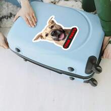 5 PIEZAS Calcomanías personalizadas con foto Pegatinas de vinilo personalizadas para coche, equipaje, computadora portátil - Resistente al agua, fácil aplicación - Ideal para accesorios de amantes de las mascotas - Material principal: PE (Polietileno)
