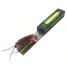 1pc Realistic Cockroach Chewing Gum, Creative Novelty Funny Toy, Surprise DIY Fake Chewing Gum