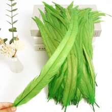 100PCS Rooster Tail Feathers 25-30cm /10-12 Inch Carnival Party Performances Stage Costume Decoration DIY Headwear Feathers Wedding Decoration Headwear Feathers - Multicolor - View 23