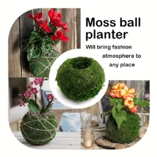 1/3 buc ghiveci elegant pentru briofite, bilă de mușchi, perfect pentru decorarea mesei, decorarea grădinii, amenajarea peisagistică microscopică, potrivit pentru plante de aer și granape.