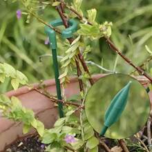 10pcs, Potted Plant Support Stand/Cauliflower Vine Climbing Stand/Balcony Creative Decoration Stand, Plant Fixing Pole Fixed Garden Flowers Plant Branches Fixing Material Glass Fiber Pole Bonsai Support Pole Flower Vine