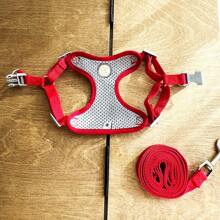 Chinese Style Tang Pattern Adjustable Chest & Back Dog Harness Leash For Medium/Small Dogs, Suitable For Teddy, Poodle, Chihuahua