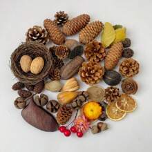 1 set van 5 stuks natuurlijke kaneel, anijs, citroen, chrysant, magnolia, goudsbloem, kumquat gedroogde bloemen voor geurverspreider, geschikt voor handgemaakte aromatherapiekaarsen, zepen, ambachtelijke decoratie