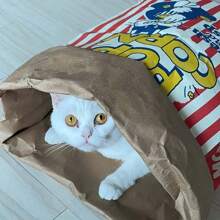 1pc Creatieve "Crispy Fresh" Papieren Popcorn Doos Papieren Zak Speelgoed, Geschikt Voor Katten En Honden - Karton, Stressverlichtend Puzzel Speelgoed, Geen Batterij Nodig, Binnen Katten Speelgoed