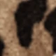 طباعة الفهد
