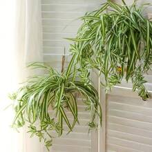 1pc Artificial Plant For Photography Props, Wedding Decor, Lifelike Ornament