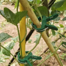 10pcs/Set Garden Vine Fixation Clips, Tomato, Cucumber, Bean, Greenhouse Vegetable Climbing Fixture Clamps, Plastic Plant Fastener Clips For Garden, Orchard, Flower