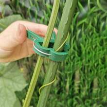 10pcs/Set Garden Vine Fixation Clips, Tomato, Cucumber, Bean, Greenhouse Vegetable Climbing Fixture Clamps, Plastic Plant Fastener Clips For Garden, Orchard, Flower
