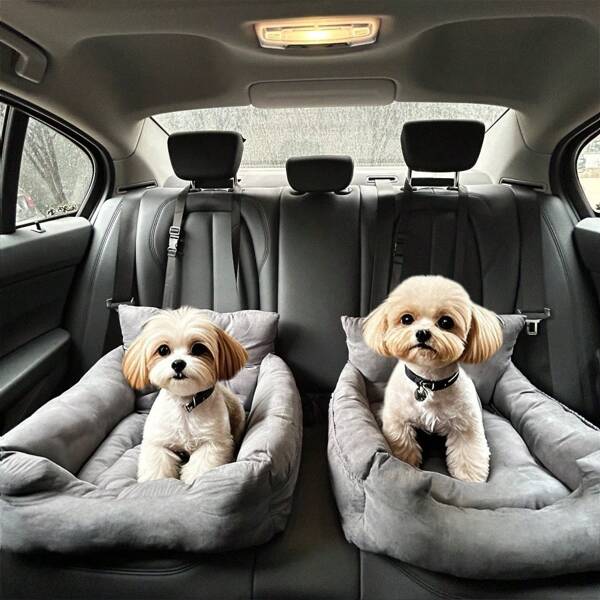Cama para mascotas de coche, asiento para mascotas, artículos esenciales de viaje, cama para gatos, para perros de raza grande/pequeña