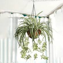 1pc Artificial Plant For Photography Props, Wedding Decor, Lifelike Ornament