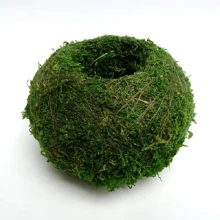 1/3 buc ghiveci elegant pentru briofite, bilă de mușchi, perfect pentru decorarea mesei, decorarea grădinii, amenajarea peisagistică microscopică, potrivit pentru plante de aer și granape.
