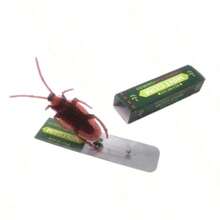1pc Realistic Cockroach Chewing Gum, Creative Novelty Funny Toy, Surprise DIY Fake Chewing Gum