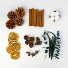 1 set van 5 stuks natuurlijke kaneel, anijs, citroen, chrysant, magnolia, goudsbloem, kumquat gedroogde bloemen voor geurverspreider, geschikt voor handgemaakte aromatherapiekaarsen, zepen, ambachtelijke decoratie